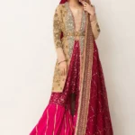 Elegant Net and Silk Zardozi Set