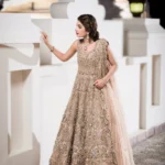 Golden Aura Net Frock Set