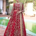 Crimson Gold Embellished Formal Ensemble