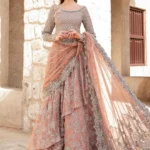 Nude Pink Embellished Saree Set