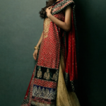 Sangria and Sand Embellished Sharara Set