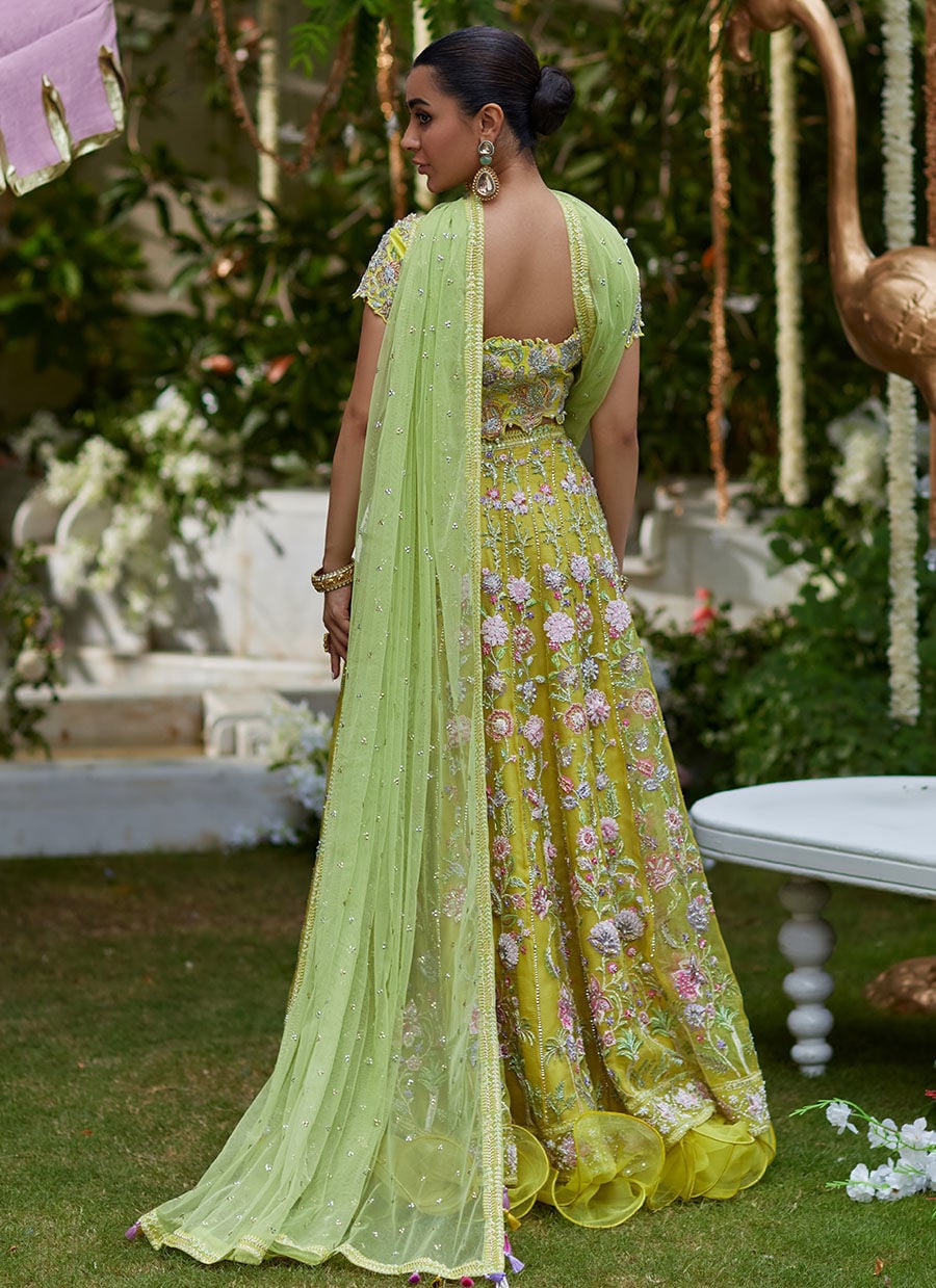 Kiwi Lumière Festive Ensemble - Image 5