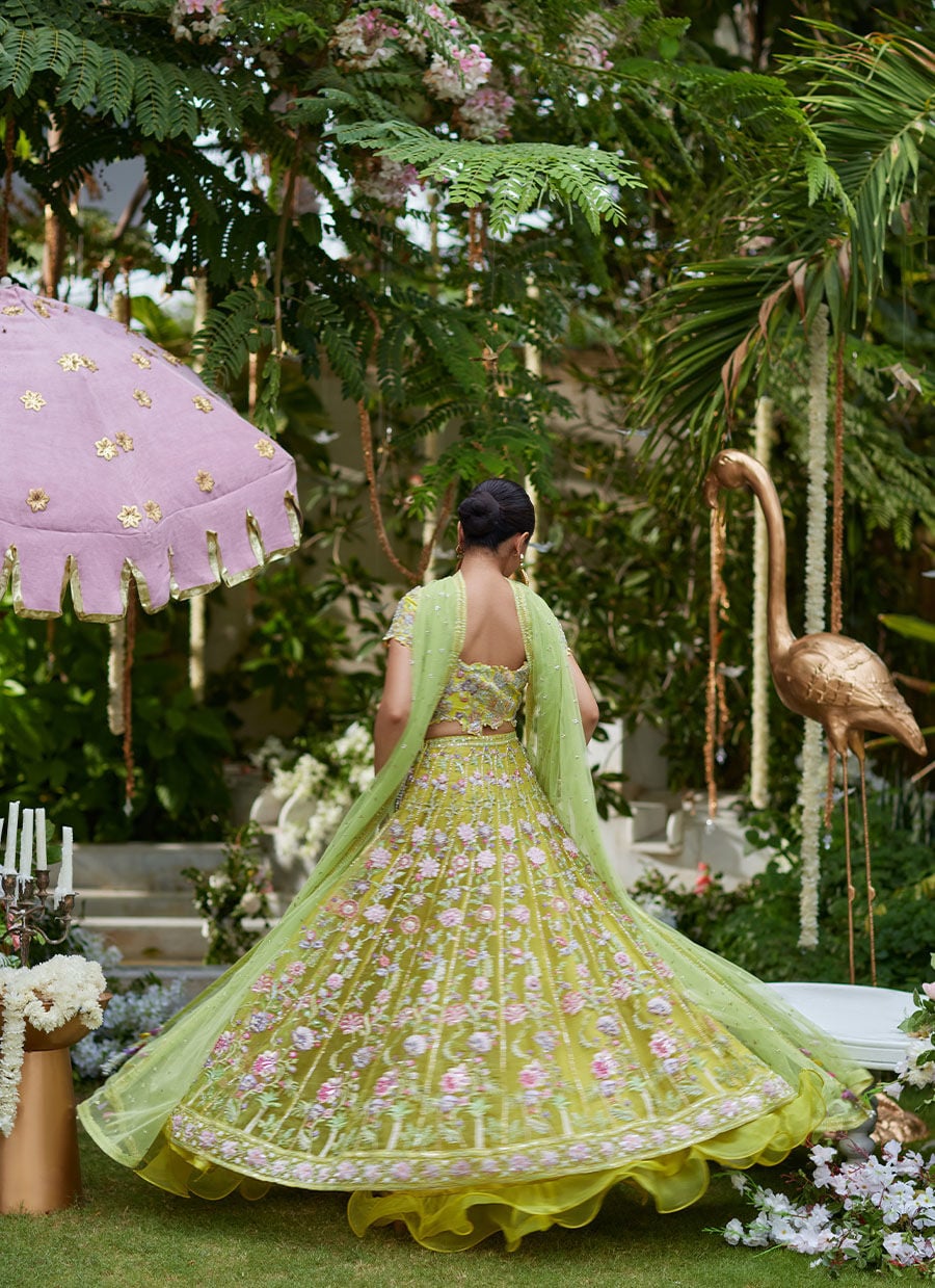 Kiwi Lumière Festive Ensemble - Image 6