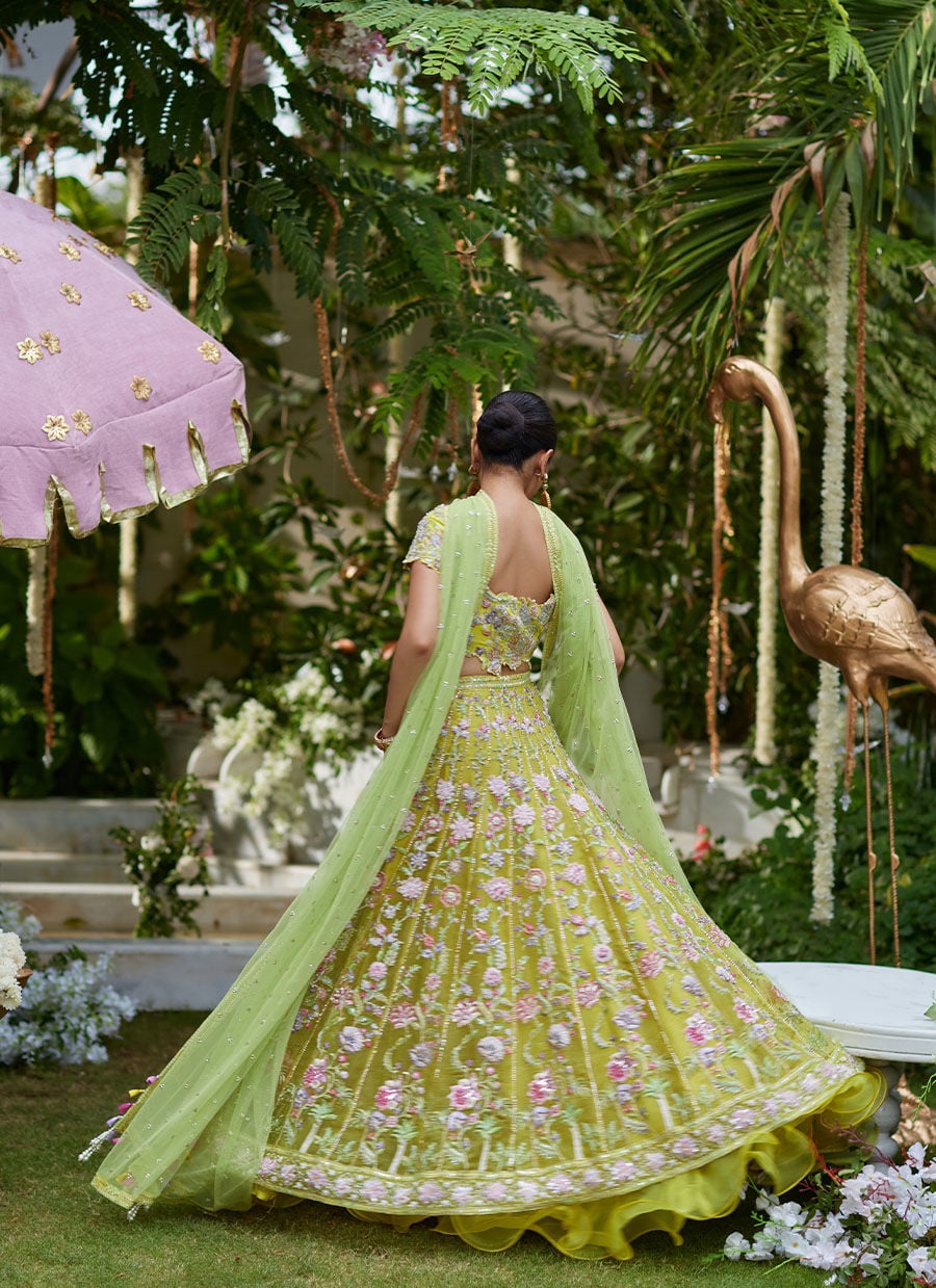 Kiwi Lumière Festive Ensemble - Image 7