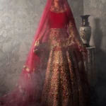 rimson Red Tissue Lehenga with Net Choli & Veil Dupatta