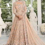 Walima Elegance Heavy Bridal Gown Ensemble