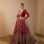 Maroon Zardozi-Embellished Choli Lehenga with Organza Dupatta & Net Veil