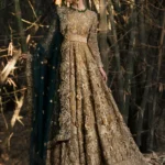 Golden Bloom Floor Length Net Dress with Green Embellished Dupatta