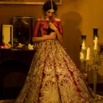 Velvet Lehenga with Silver Embellishments