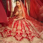 Handcrafted Red Zardozi Lehenga Choli Set for Bridal & Reception