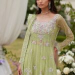 Pistachio Blossom Net Pishwas