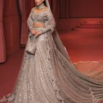 Elegant Grey Net-Tailed Lehenga & Choli Set