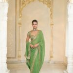 Ethereal Olive and Gold Sari Set
