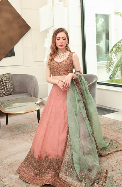 Astra Bordered Lehenga Ensemble - Image 4