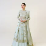 Azeena Gold Zardozi Organza Pishwas Ensemble