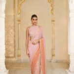 Ethereal Mauve-Peach Handcrafted Sari Ensemble