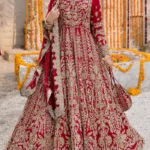 Mughal Muse Deep Red Bridal Lehenga