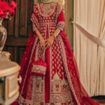 Regal Maroon & Gold Pakistani Bridal Lehenga Choli