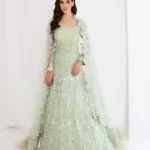 Elegant Pista Green Pishwas Sharara Set with Handcrafted Embellishments