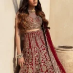 Erubescent Red Contemporary Bridal Net Ensemble