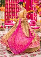 Luxury Yellow & Magenta Kalidaar Bridal Pishwas - Image 4