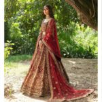 Royal Red Bridal Lehenga Choli with Goldwork & Sheer Net Dupatta