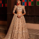 Exquisite Organza Bridal Lehenga Choli