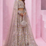 Emaline – Nude Gold Zardozi Lehnga Bridal Ensemble