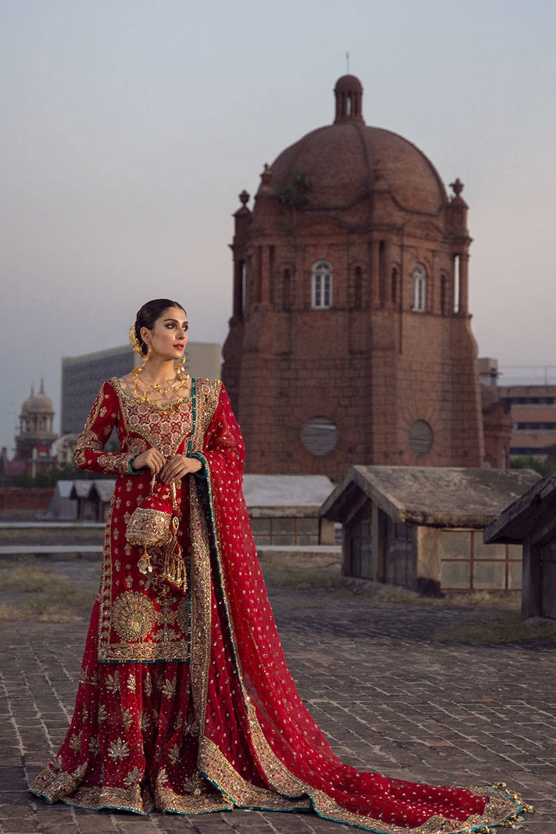 Abroo – Scarlet Peacock Gharara Bridal Ensemble - Image 7