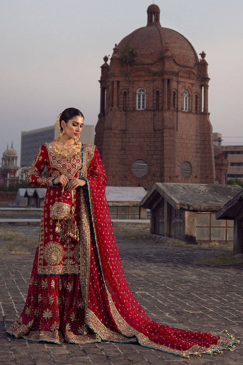 Abroo – Scarlet Peacock Gharara Bridal Ensemble - Image 6