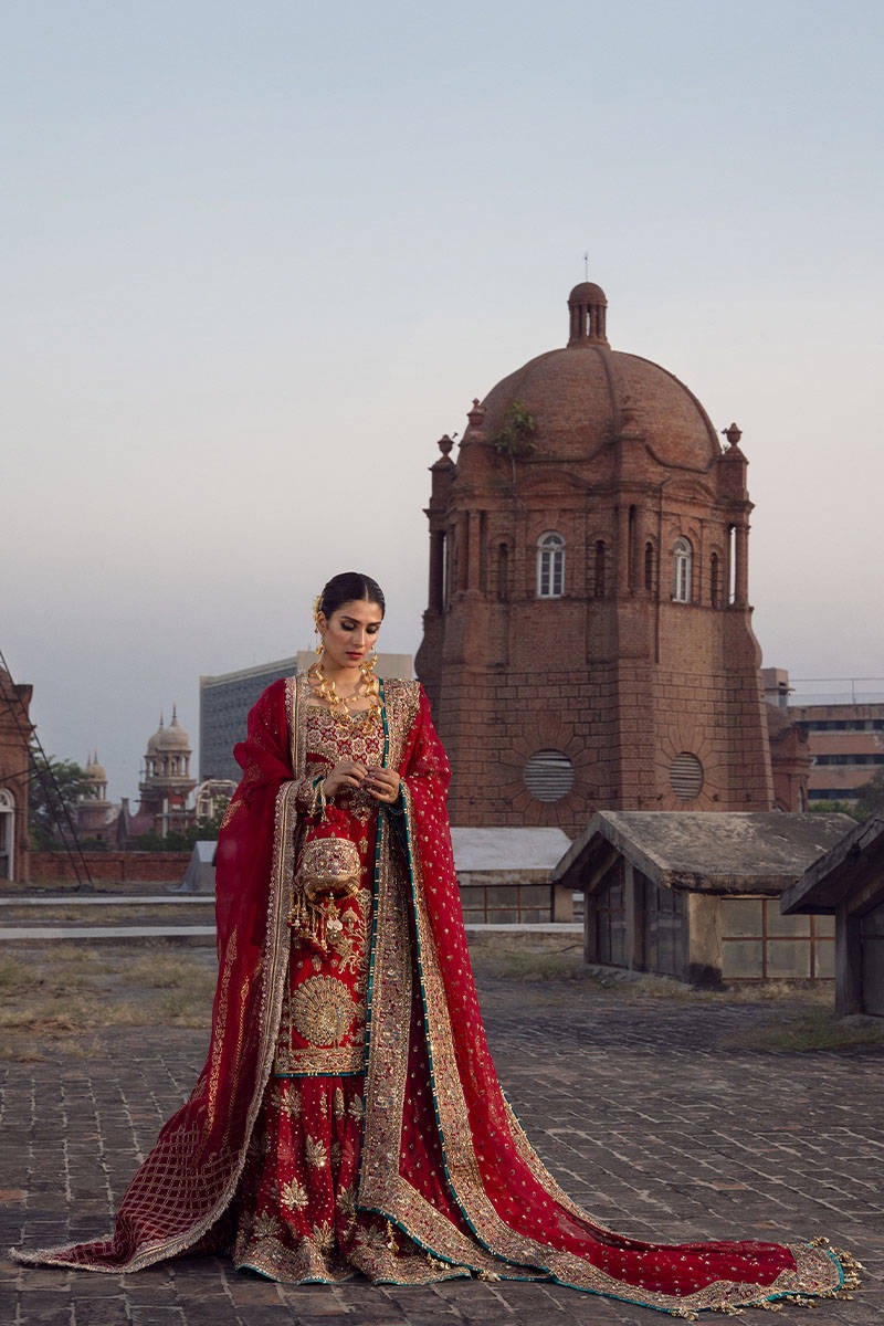 Abroo – Scarlet Peacock Gharara Bridal Ensemble - Image 5