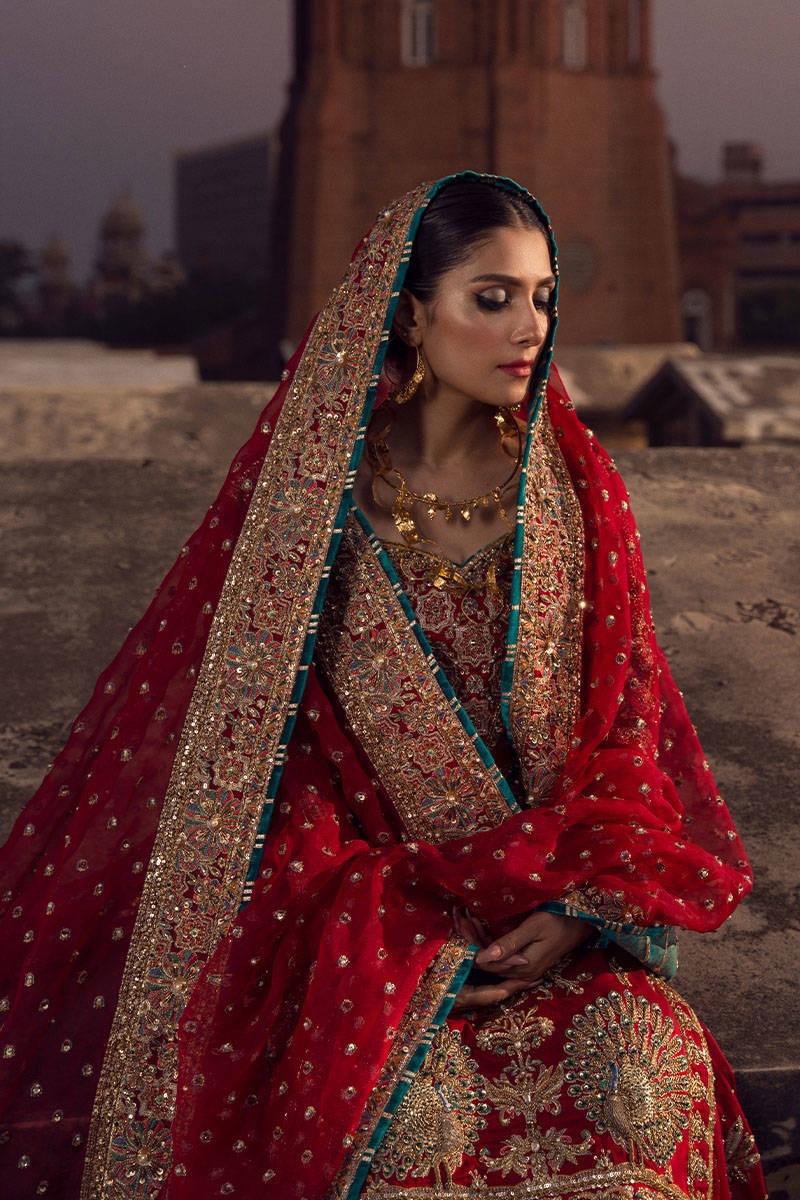 Abroo – Scarlet Peacock Gharara Bridal Ensemble - Image 4