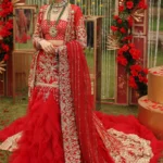 Crimson Gold Zardozi Bridal Lehenga